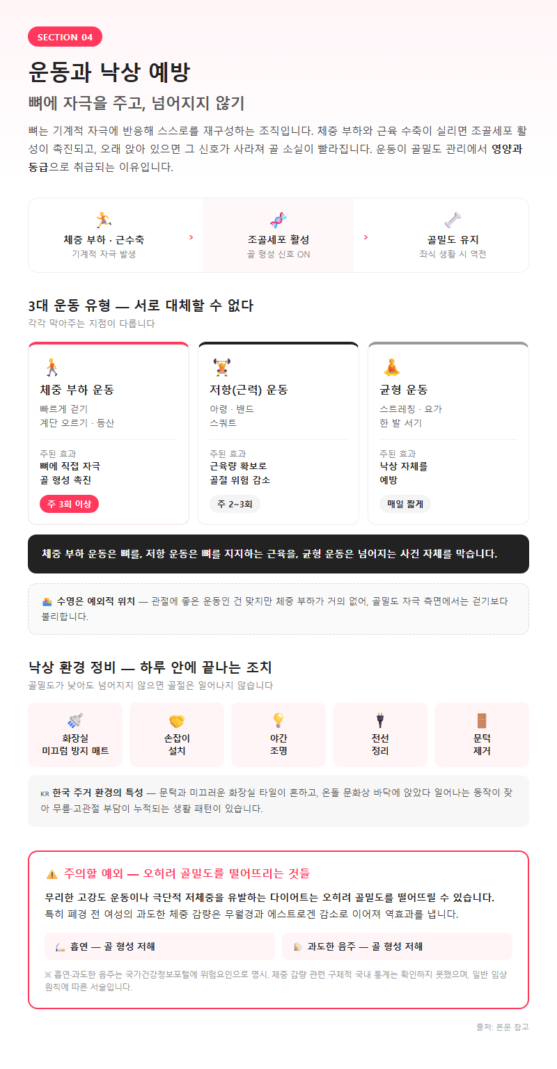 4. 운동과 낙상 예방 — 골절을 막는 두 개의 축
