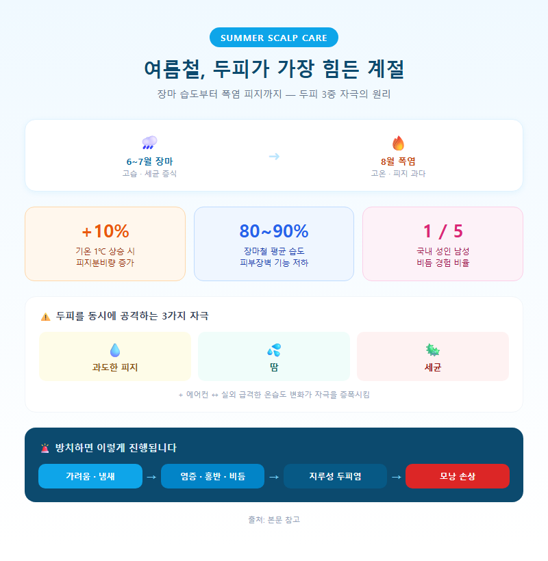 여름철두피관리 개요