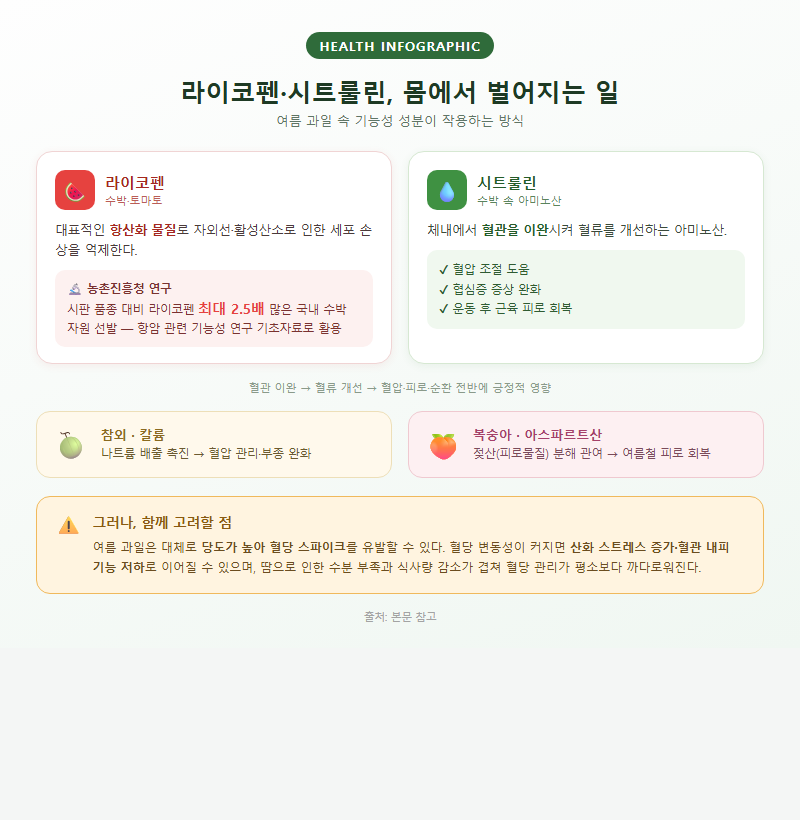 2. 라이코펜·시트룰린이 몸에 작용하는 원리
