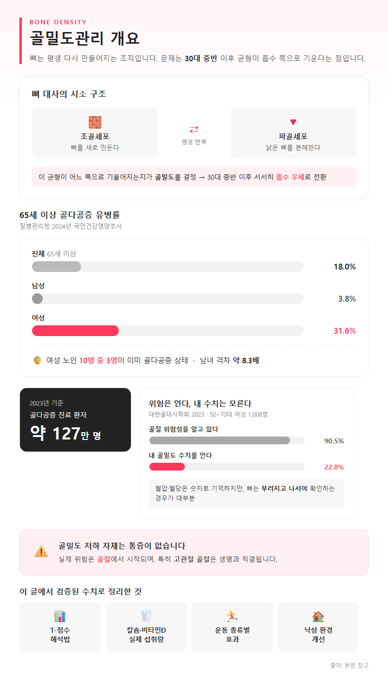골밀도관리 개요