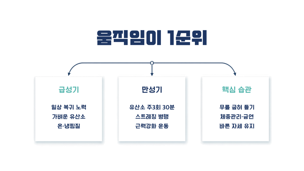 4. 단계별 허리통증 해결 방법: 움직임이 1순위