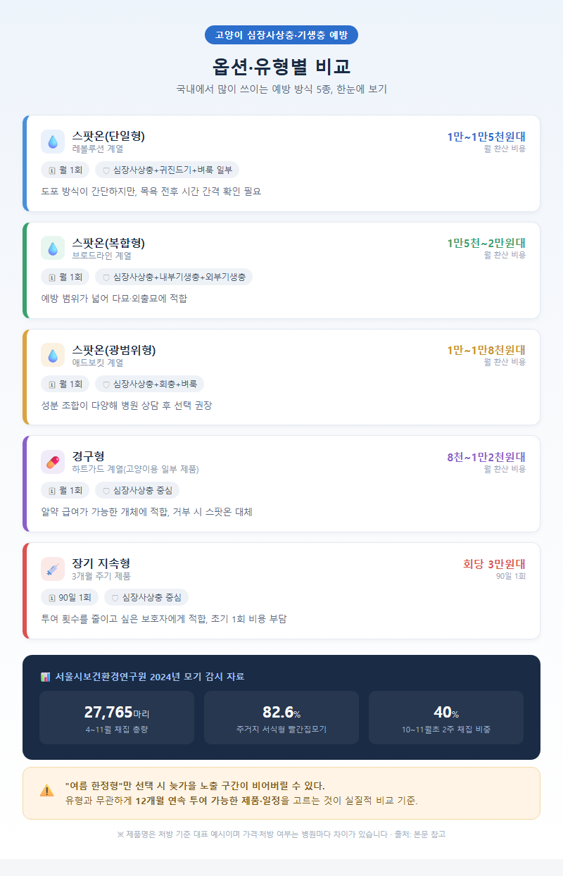 옵션·유형별 비교