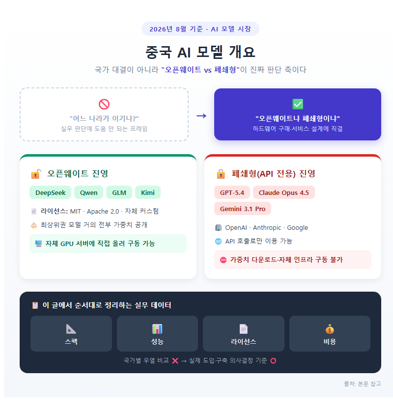 중국 AI 모델 개요