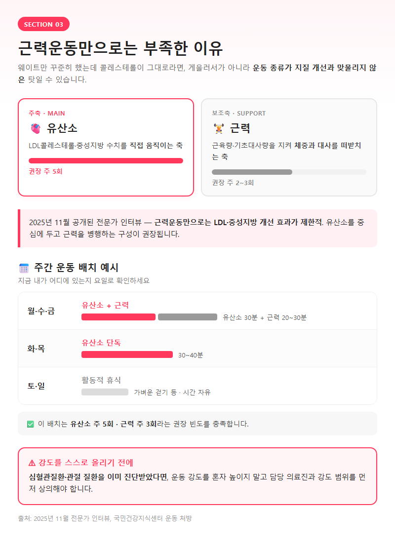 3. 근력운동만으로는 부족한 이유