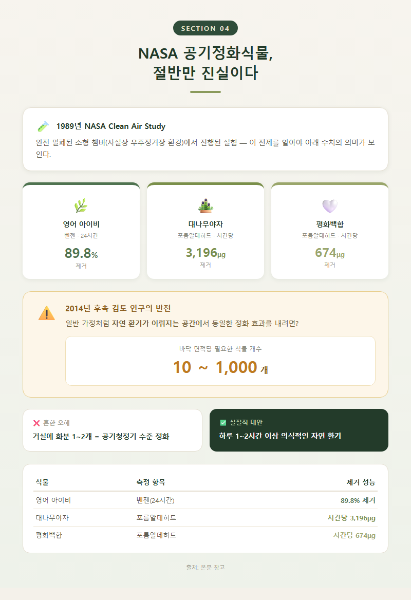 4. NASA 공기정화식물, 절반만 진실이다