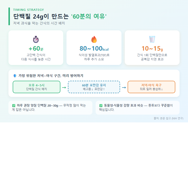 2. 단백질 24g이 만드는 '60분의 여유' — 저녁 과식을 막는 타이밍