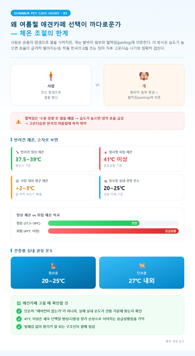 1. 왜 여름철 애견카페 선택이 까다로운가 — 체온 조절의 한계