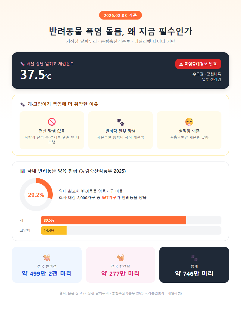 반려동물돌봄 개요