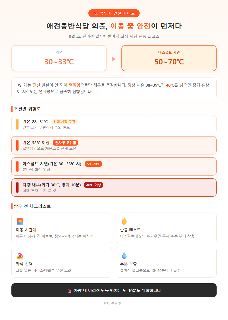 4. 폭염기 애견동반식당 외출, 이동 중 안전이 먼저다