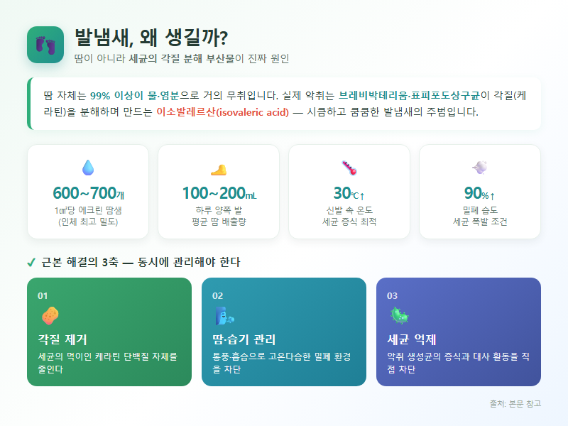 발냄새제거 개요