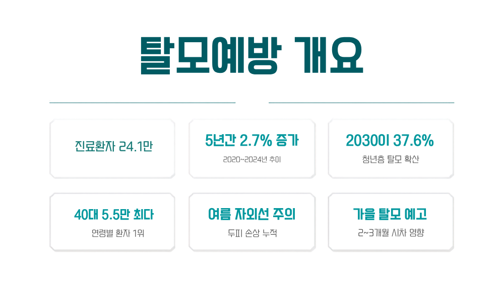 탈모예방 개요