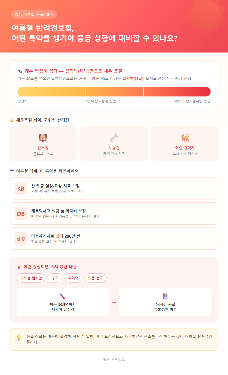 Q4. 여름철 반려견보험, 어떤 특약을 챙겨야 응급 상황에 대비할 수 있나요?