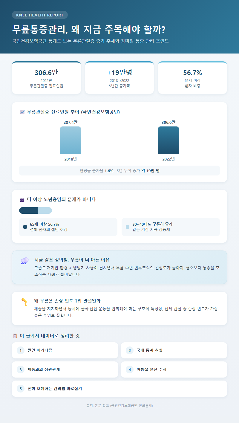 무릎통증관리 개요