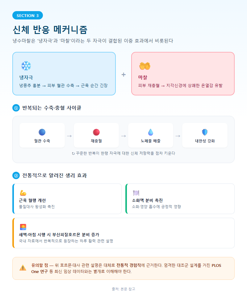 3. 신체 반응 메커니즘
