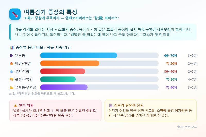 2. 여름감기 증상의 특징 — 소화기 증상에 주목하라