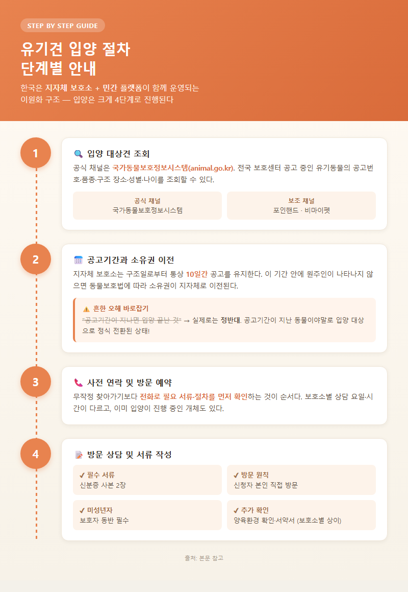 2. 유기견 입양 절차 단계별 안내