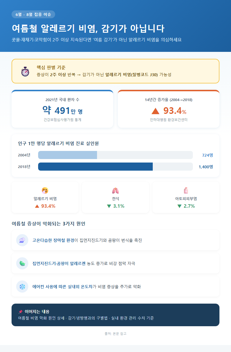 여름철알레르기비염 개요