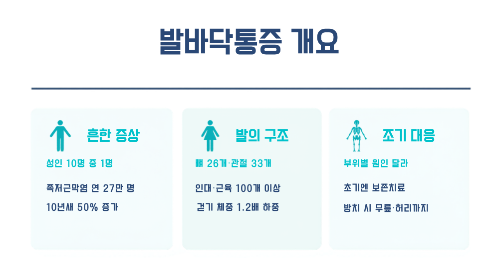 발바닥통증 개요