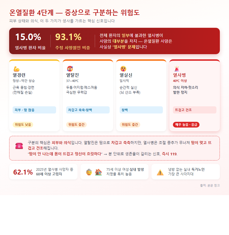 2. 온열질환 4단계 — 증상으로 구분하는 위험도