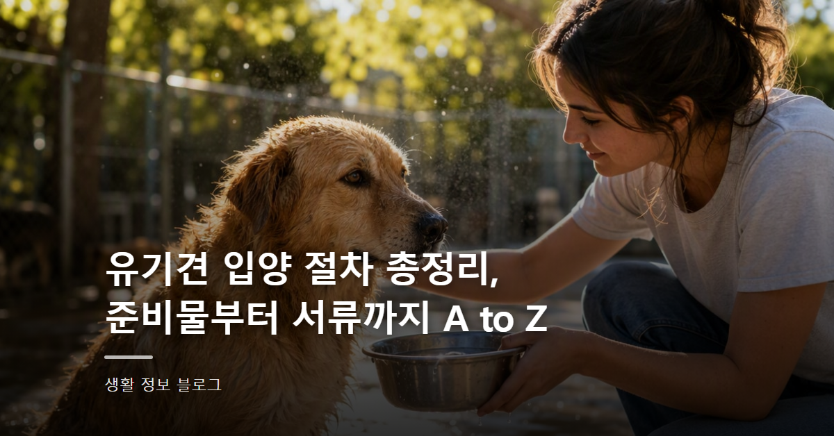 유기견 입양 절차 총정리, 준비물부터 서류까지 A to Z