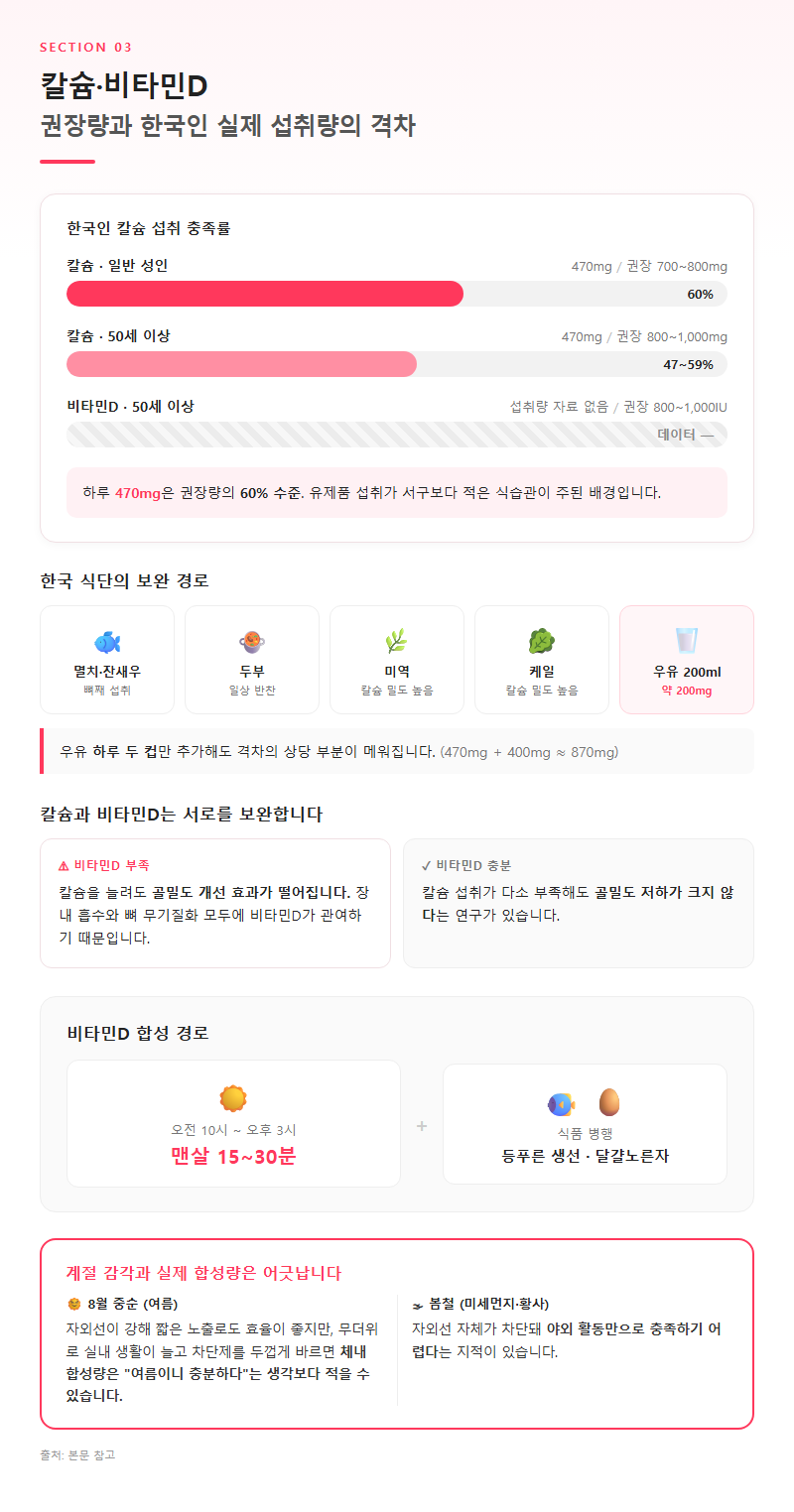 3. 칼슘 하루 800~1,000mg — 한국인이 470mg에서 멈춰 있는 이유