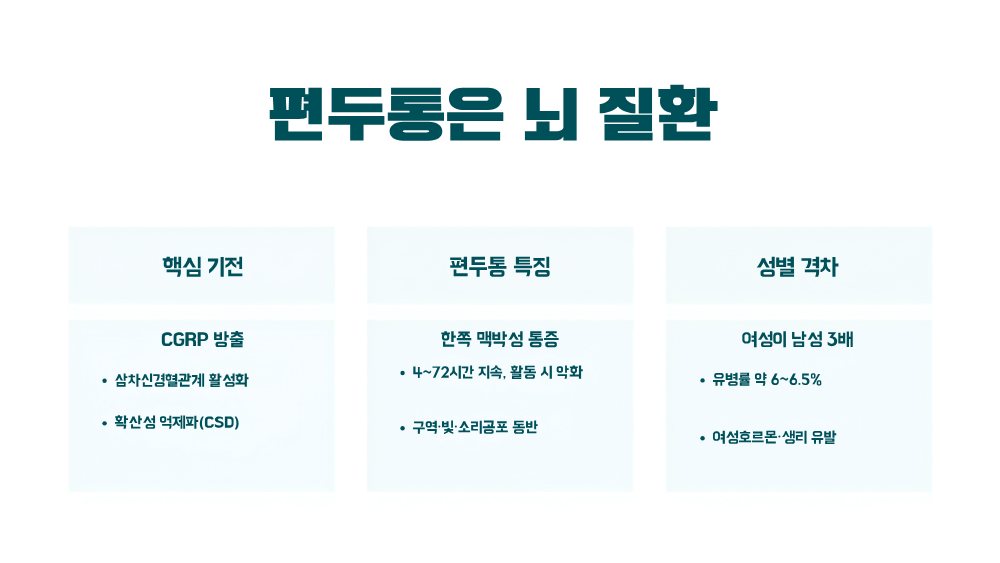 2. 편두통은 '심한 두통'이 아니라 뇌 질환이다
