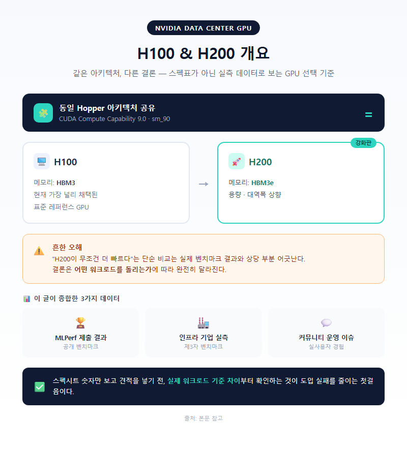 H100 H200 개요