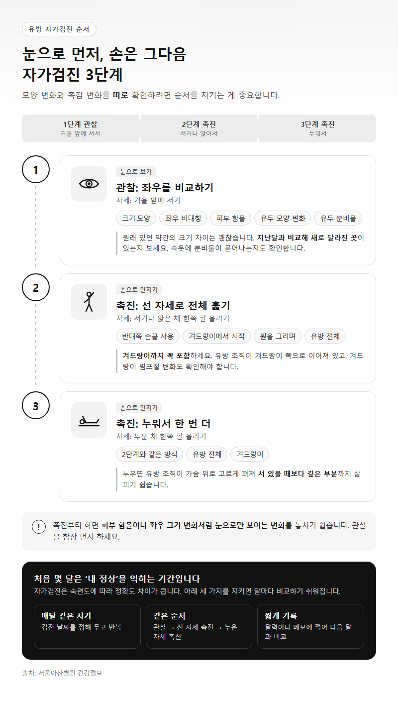 Q2. 거울 앞 관찰부터 누워서 만져 보기까지, 자가검진 3단계는 어떤 순서로 하나요?