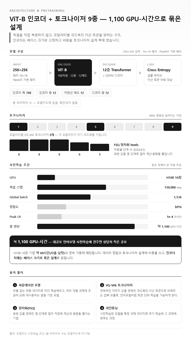 1. 아키텍처와 사전학습 조건 — ViT-B 기반에 토크나이저 9종