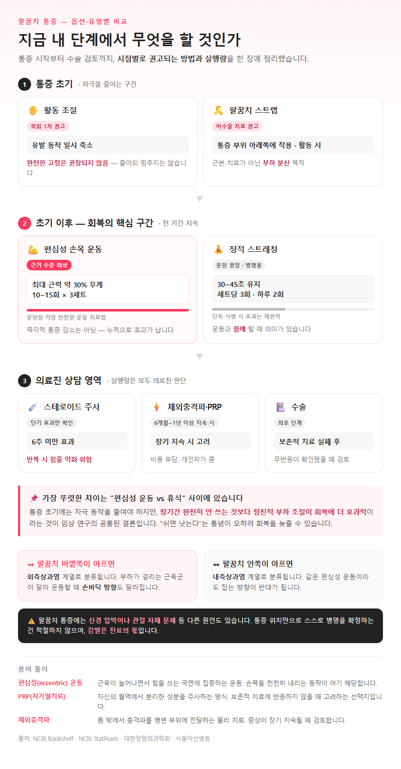 옵션·유형별 비교