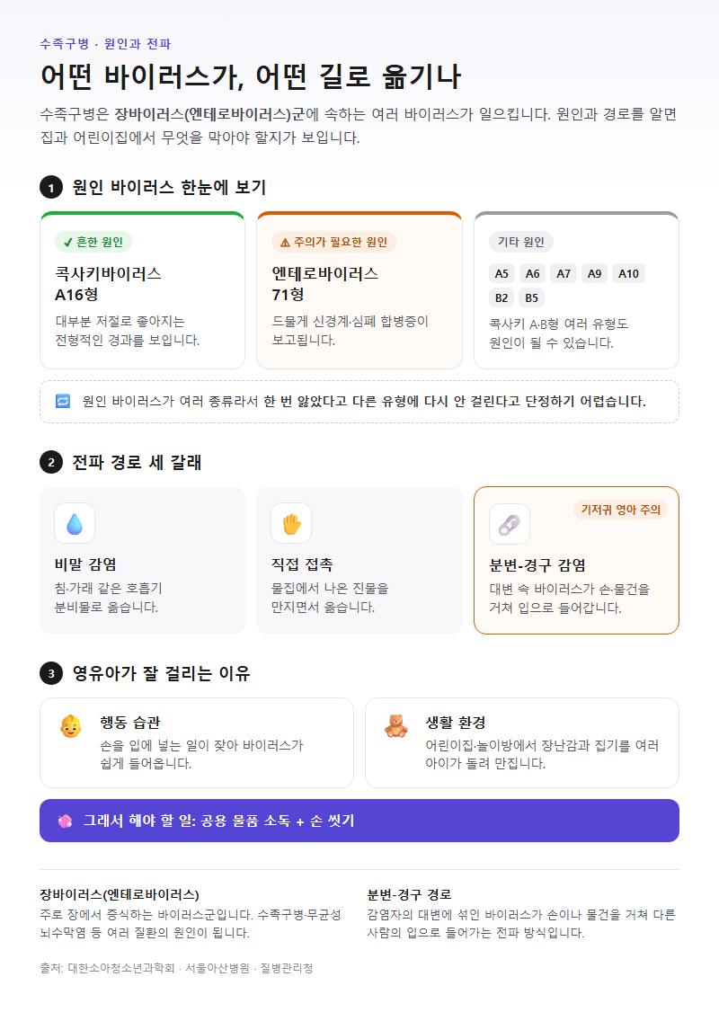 1. 원인 바이러스와 전파 경로