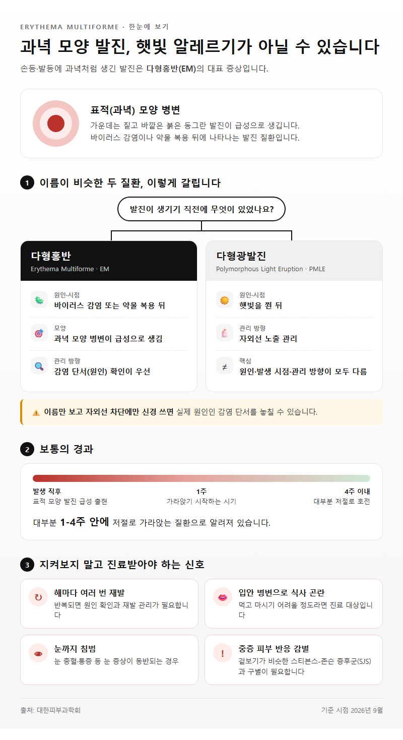 다형홍반 개요
