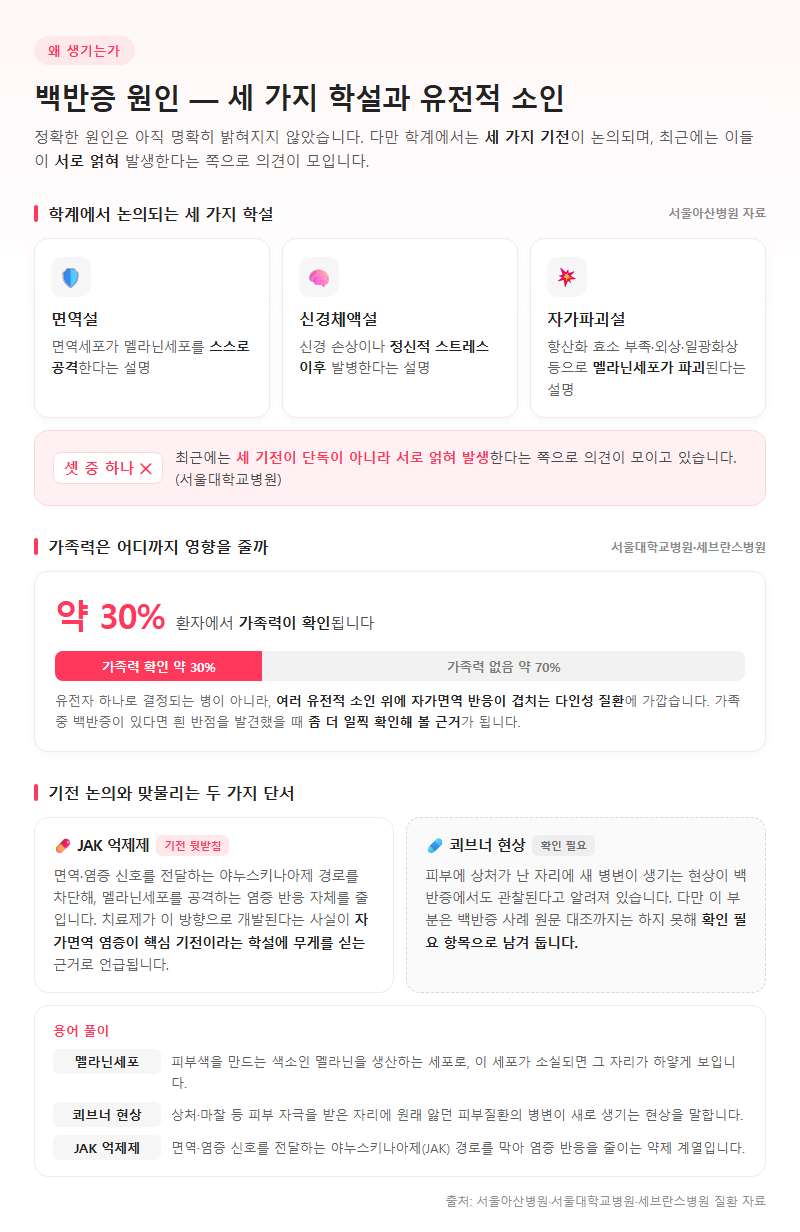 2. 왜 생기는가 — 세 가지 학설과 유전적 소인