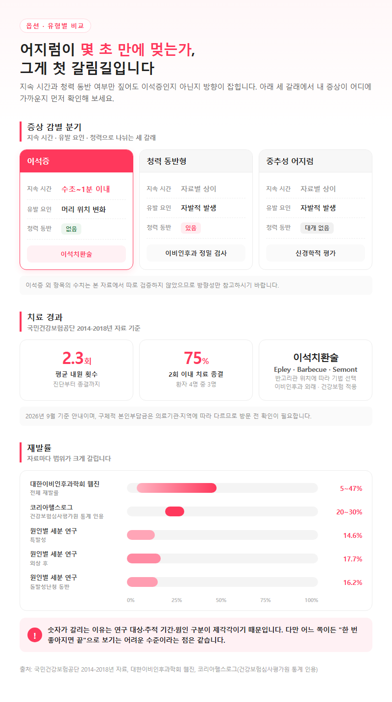 옵션·유형별 비교