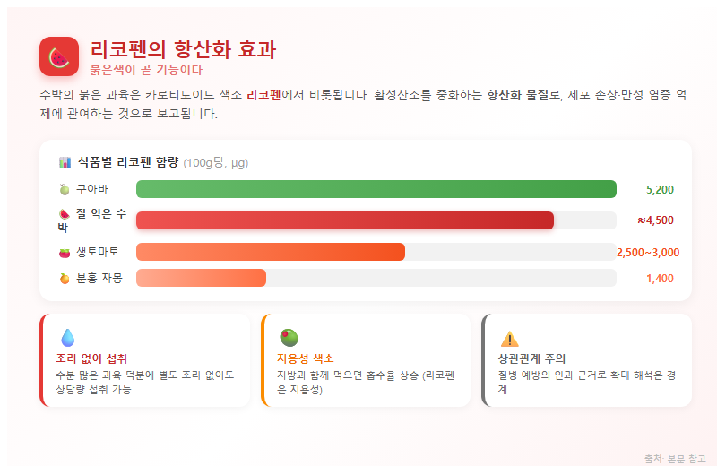 2. 리코펜의 항산화 효과: 붉은색이 곧 기능이다