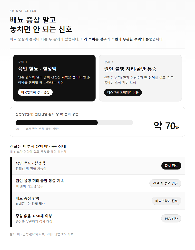 Q2. 배뇨 증상 말고 놓치면 안 되는 신호는 무엇인가요?