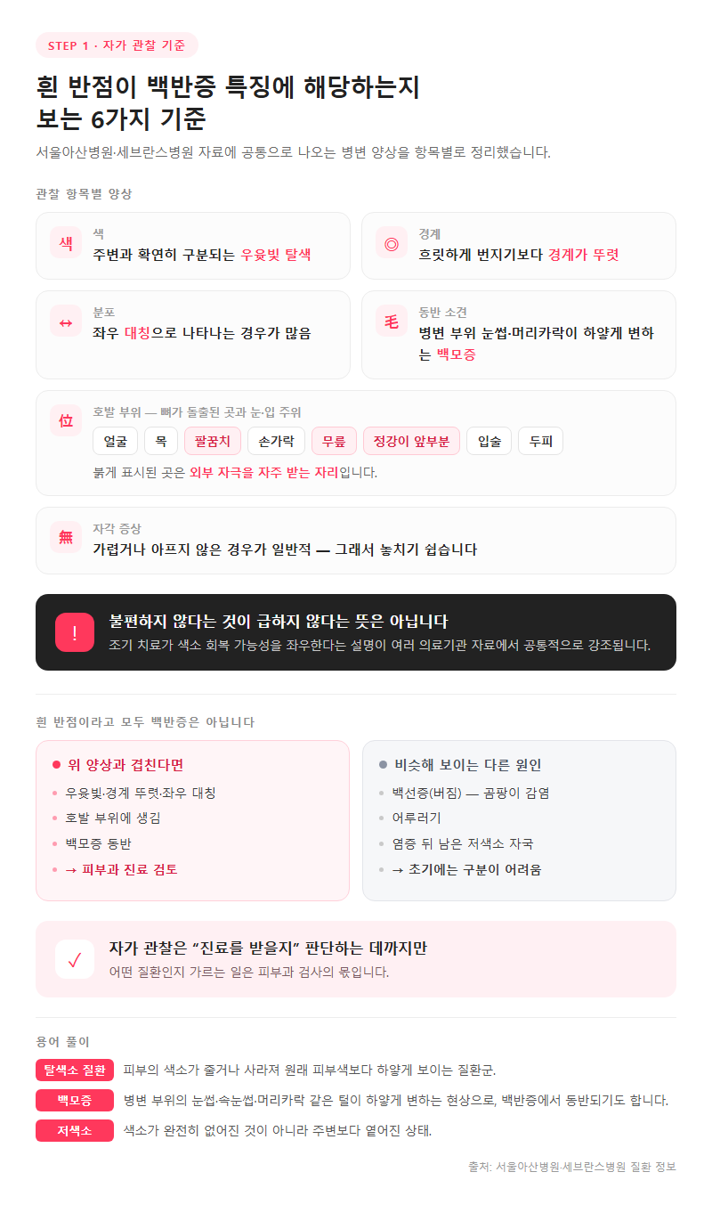 1. 흰 반점이 백반증 특징에 해당하는지 보는 기준