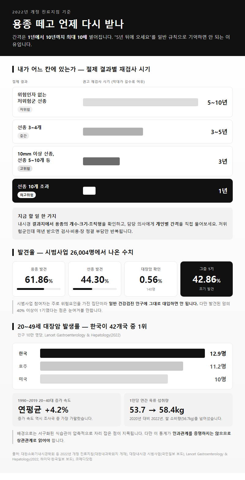 옵션·유형별 비교