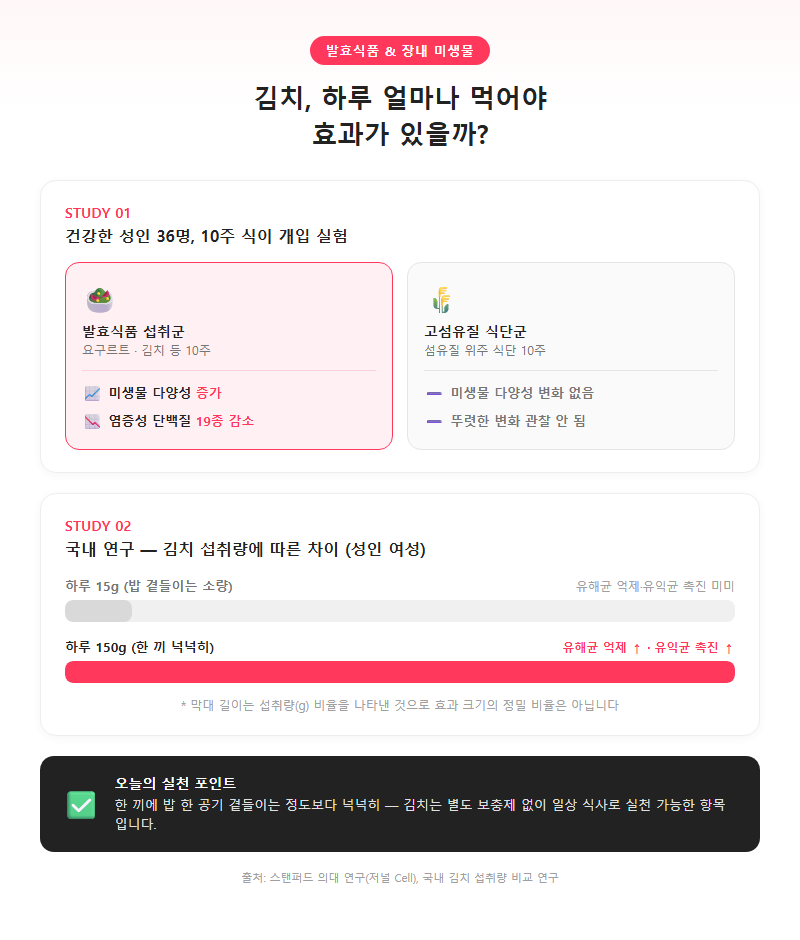 2. 발효식품과 장내 미생물 — 김치는 얼마나 먹어야 할까
