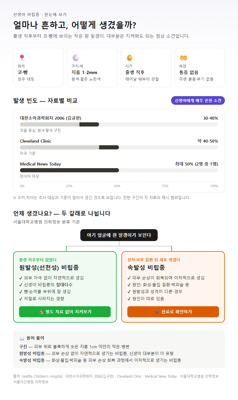 1. 신생아 비립종 발생 빈도와 나타나는 모양