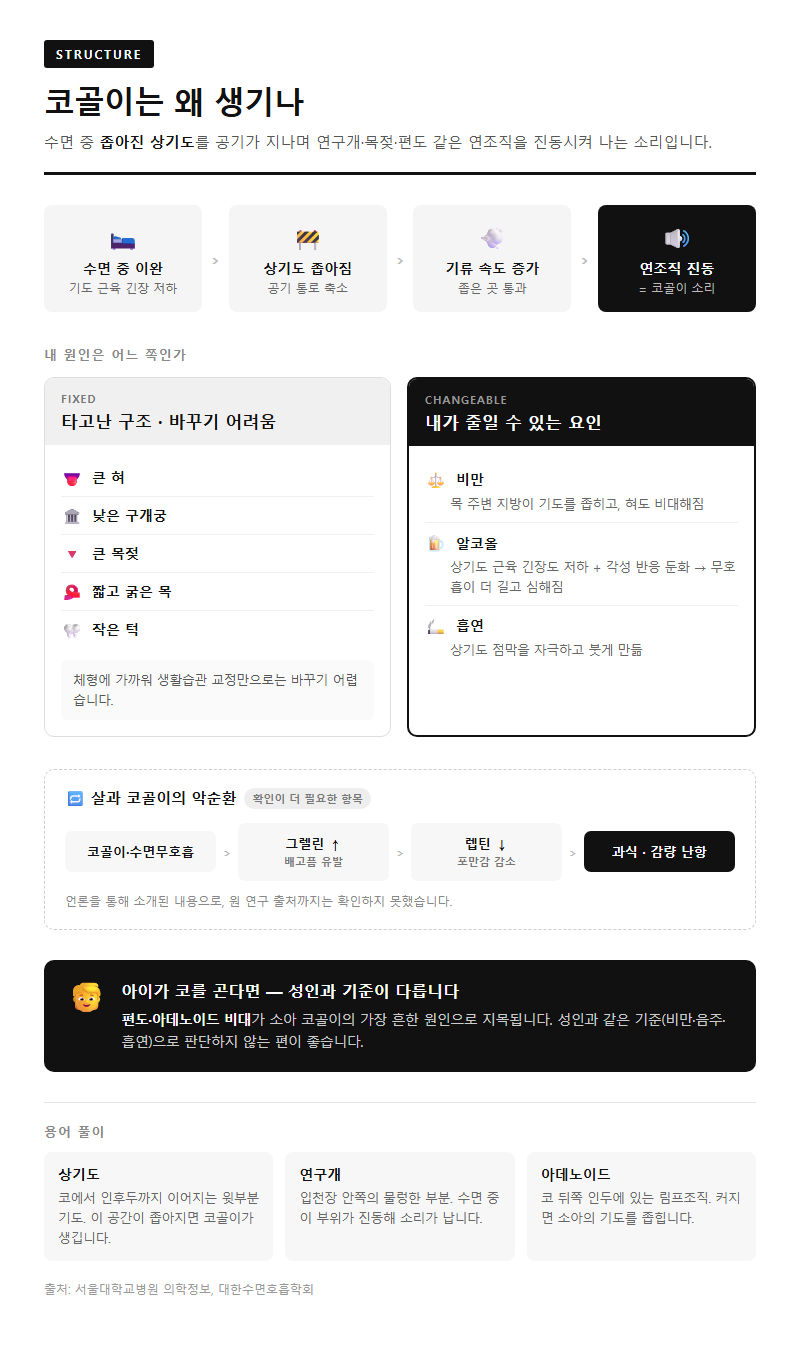 Q2. 코골이가 생기는 구조적 원인은 무엇인가요