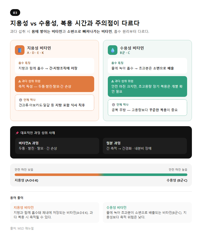3. 지용성 vs 수용성, 복용 시간과 주의점이 다르다