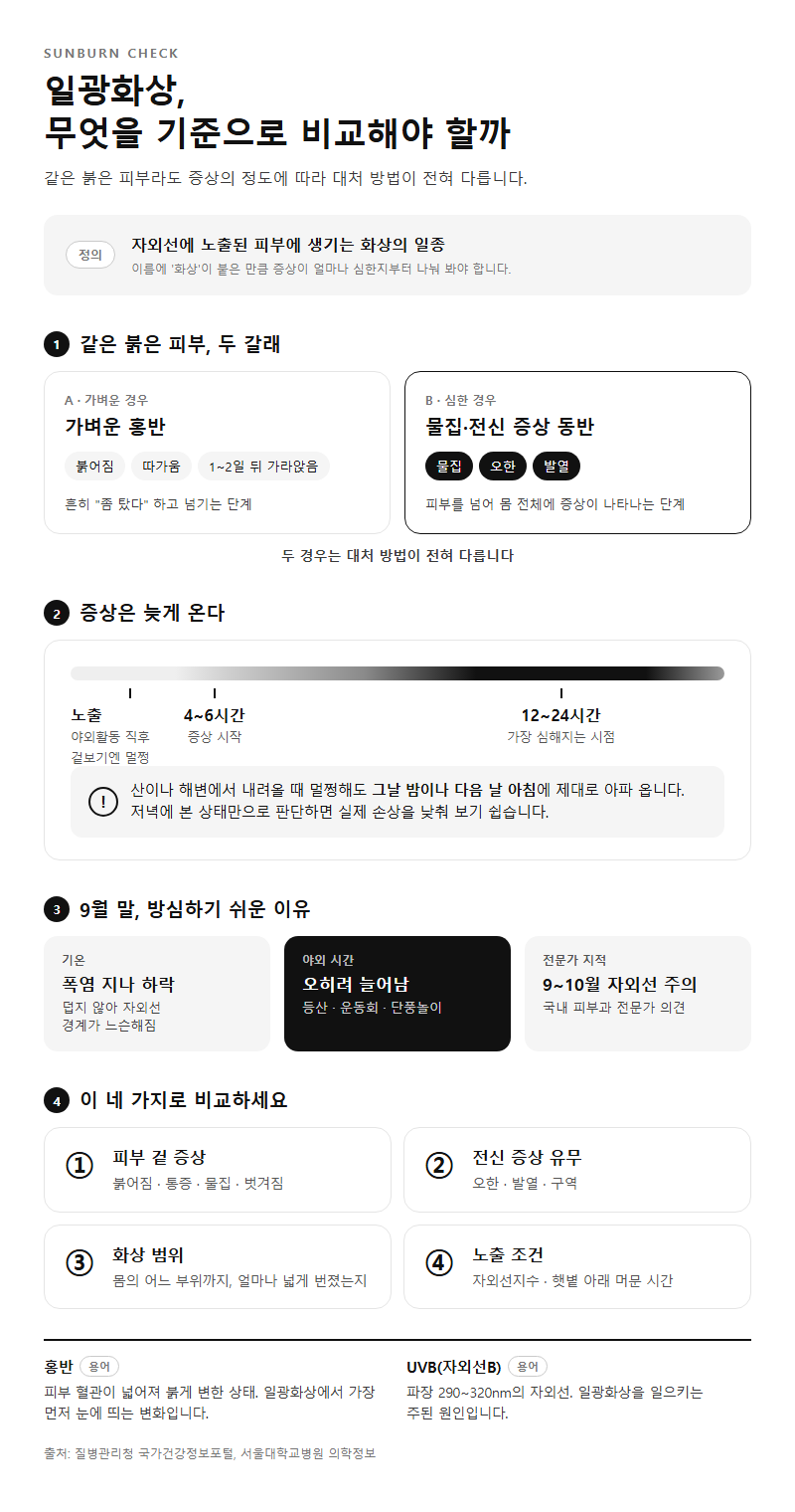 일광화상, 무엇을 기준으로 비교해야 할까
