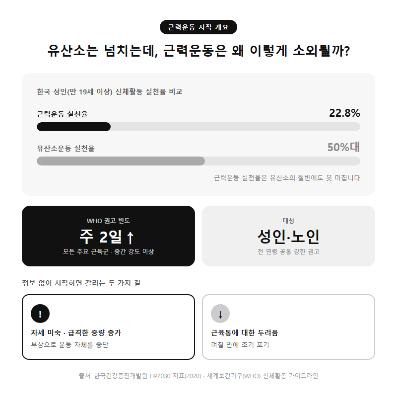 근력운동시작 개요