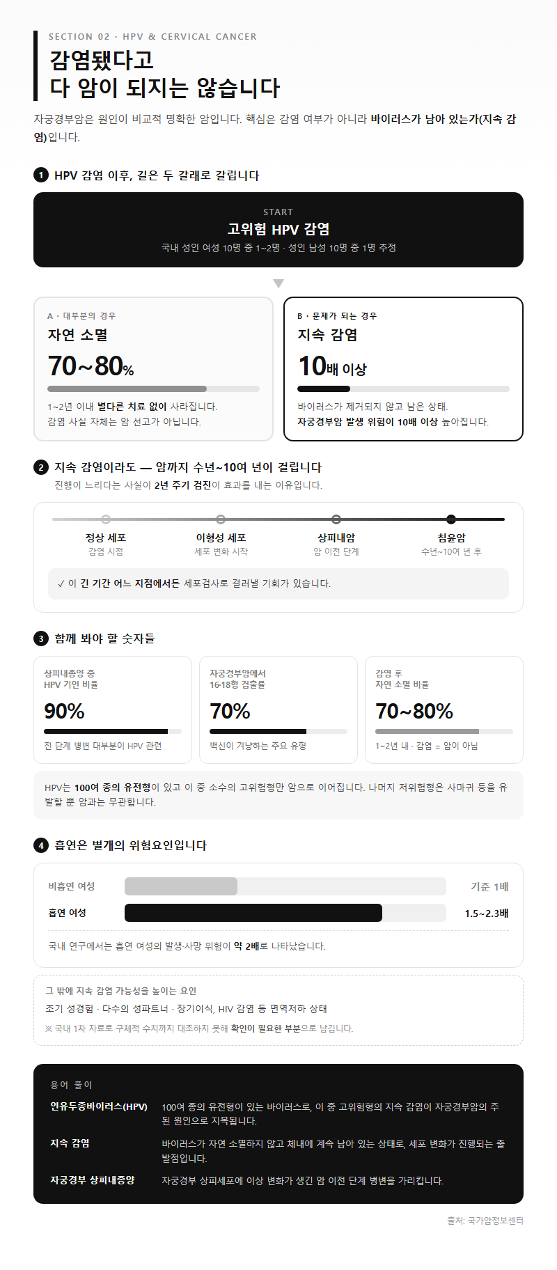 2. HPV와 자궁경부암의 관계 — 감염됐다고 다 암이 되지는 않습니다