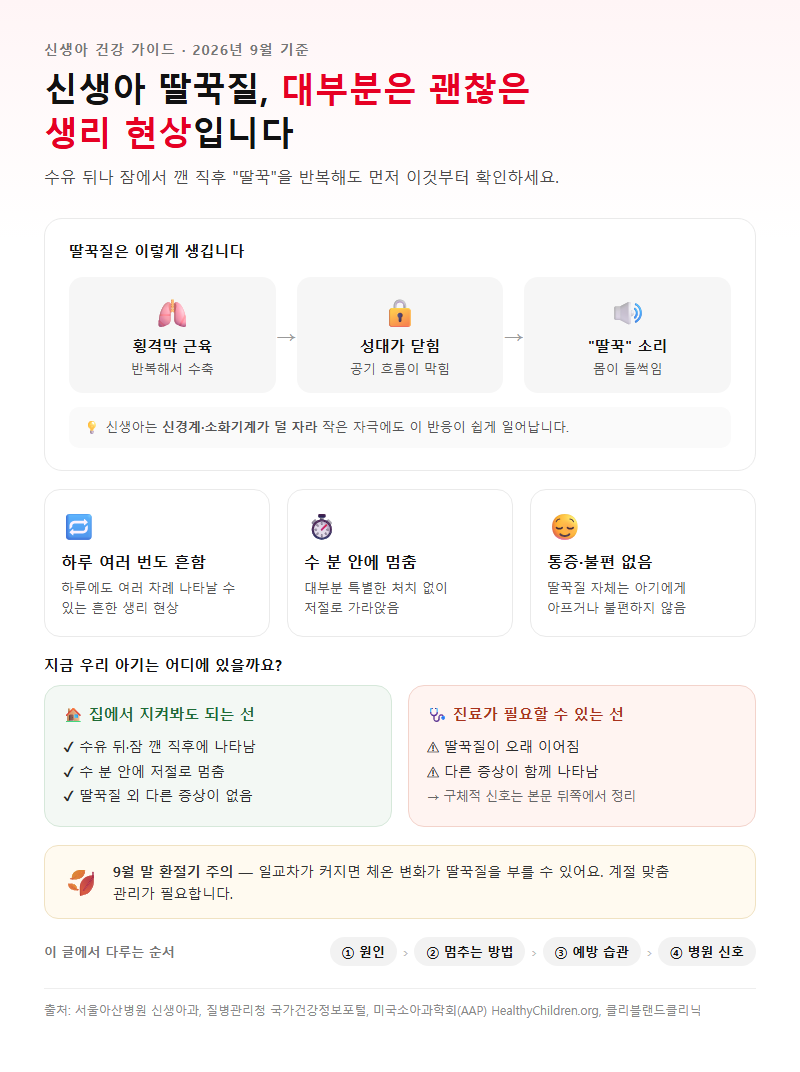 신생아딸꾹질 개요