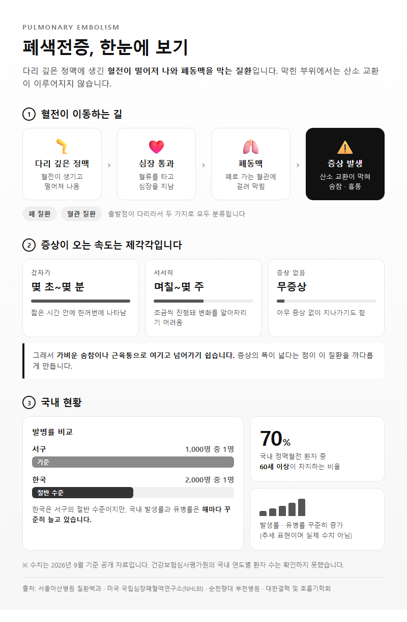 폐색전증 개요