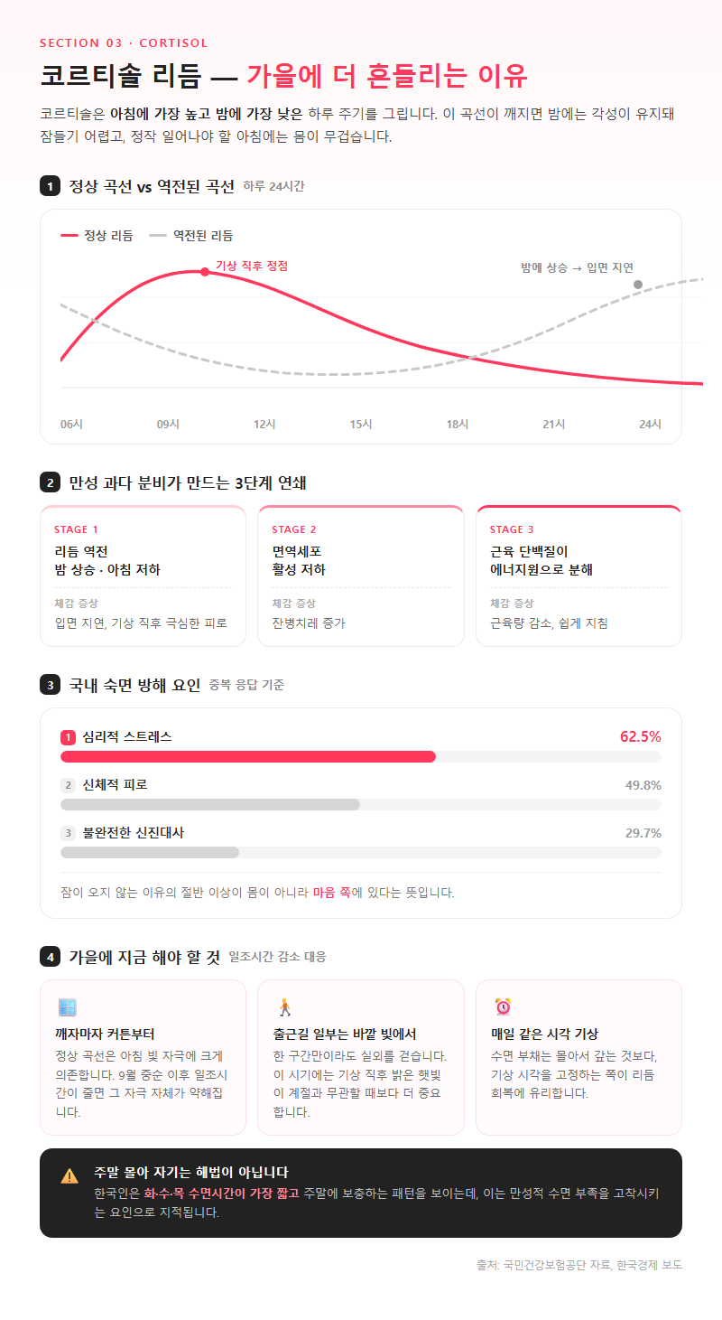 3. 코르티솔 리듬 — 가을에 더 흔들리는 이유
