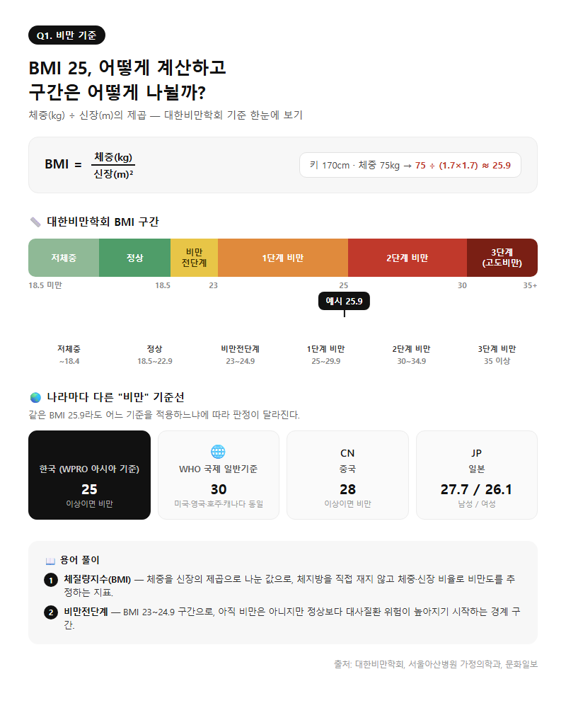 Q1. 비만기준 BMI 25는 어떻게 계산하고, 구간별 수치는 어떻게 되나요?