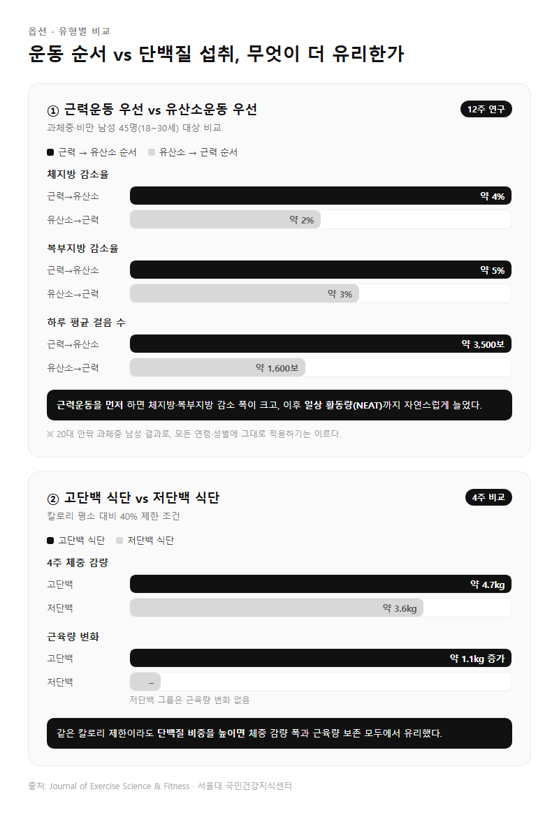 옵션·유형별 비교